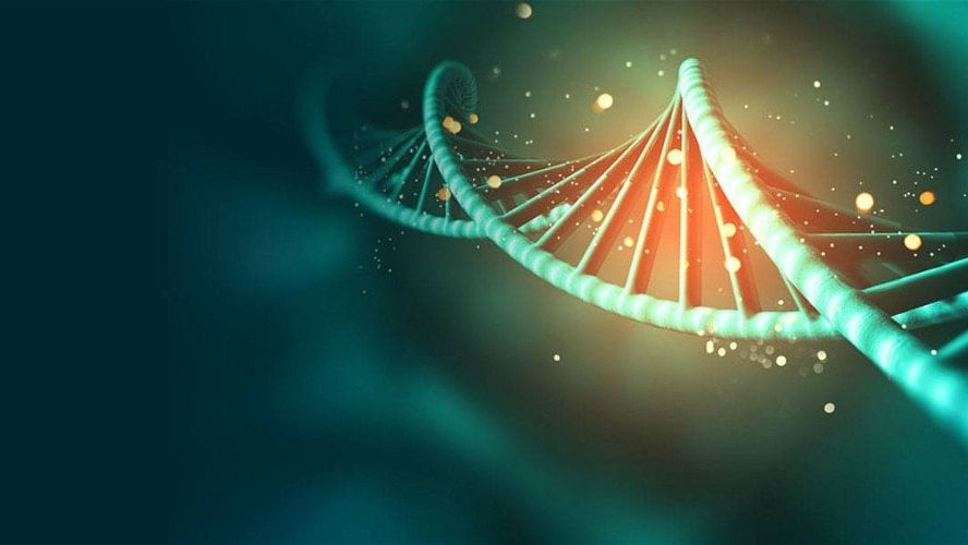 Γενετικό τεστ DNA για θεραπεία τριχόπτωσης και αλωπεκίας, για προσδιορισμό των αιτιών απώλειας μαλλιών.
